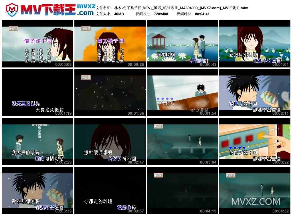 林木-伤了几千回(MTV)_国语_流行歌曲_MA304999
